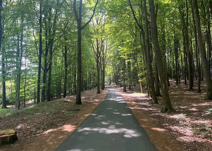 Scheppes Auszeit Lejlighed *